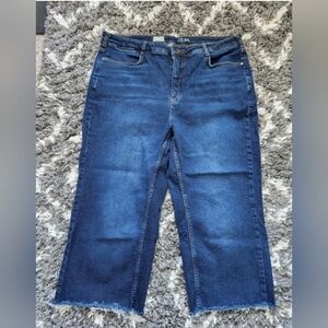 Plus-Size Womens Pilcro Cropped Jeans